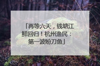 再等六天，钱塘江鲜回归！杭州渔民：第一波盼刀鱼