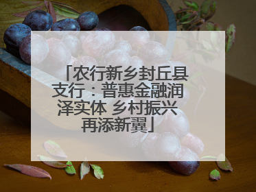 农行新乡封丘县支行：普惠金融润泽实体 乡村振兴再添新翼
