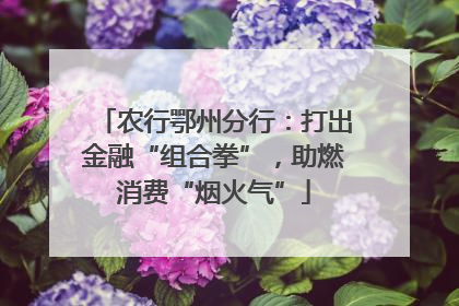 农行鄂州分行：打出金融“组合拳”，助燃消费“烟火气”