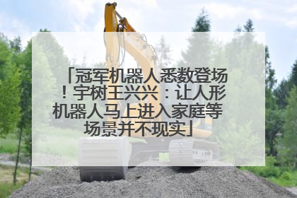 冠军机器人悉数登场！宇树王兴兴：让人形机器人马上进入家庭等场景并不现实