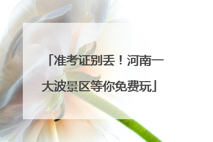 准考证别丢！河南一大波景区等你免费玩