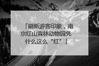 刷新游客印象，南京红山森林动物园凭什么这么“红”