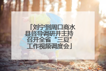 刘宁到周口商水县督导调研并主持召开全省“三夏”工作视频调度会
