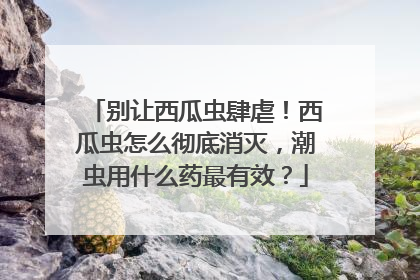 别让西瓜虫肆虐！西瓜虫怎么彻底消灭，潮虫用什么药最有效？
