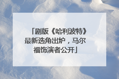 剧版《哈利波特》最新选角出炉，马尔福饰演者公开