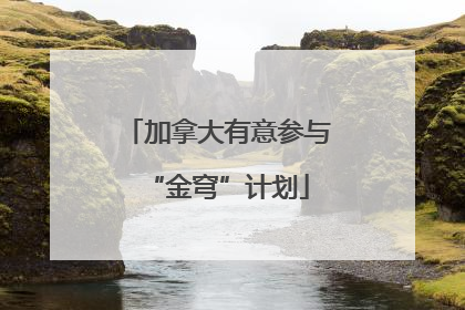 加拿大有意参与“金穹”计划