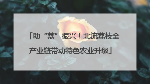 助“荔”振兴！北流荔枝全产业链带动特色农业升级