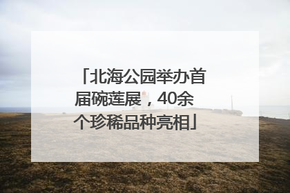 北海公园举办首届碗莲展，40余个珍稀品种亮相