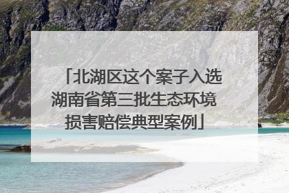 北湖区这个案子入选湖南省第三批生态环境损害赔偿典型案例