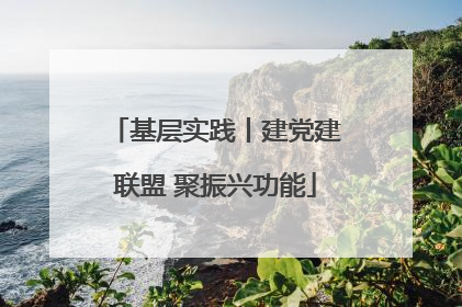 基层实践丨建党建联盟 聚振兴功能