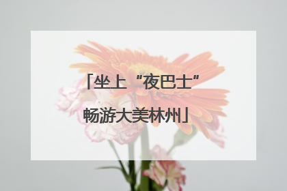 坐上“夜巴士” 畅游大美林州