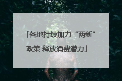 各地持续加力“两新”政策 释放消费潜力