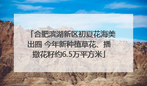 合肥滨湖新区初夏花海美出圈 今年新种植草花、播撒花籽约6.5万平方米