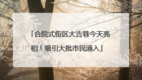 合院式街区大吉巷今天亮相！吸引大批市民涌入