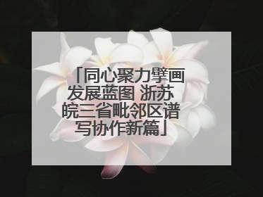 同心聚力擘画发展蓝图 浙苏皖三省毗邻区谱写协作新篇