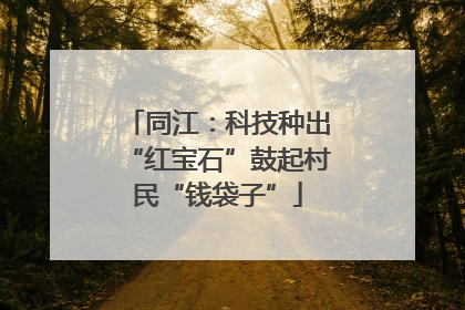 同江：科技种出“红宝石”鼓起村民“钱袋子”