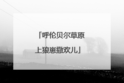 呼伦贝尔草原上狼崽撒欢儿