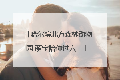 哈尔滨北方森林动物园 萌宝陪你过六一