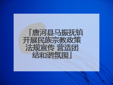 唐河县马振抚镇开展民族宗教政策法规宣传 营造团结和谐氛围
