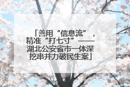 善用“信息流”，精准“打七寸”——湖北公安省市一体深挖串并力破民生案