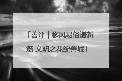 善评｜移风易俗谱新篇 文明之花绽善城