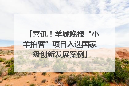 喜讯！羊城晚报“小羊拍客”项目入选国家级创新发展案例