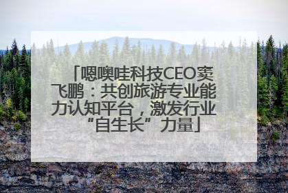 嗯噢哇科技CEO窦飞鹏：共创旅游专业能力认知平台，激发行业“自生长”力量