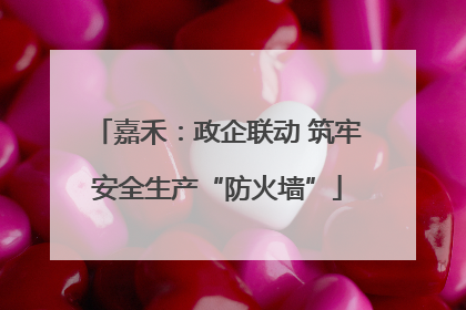 嘉禾：政企联动 筑牢安全生产“防火墙”