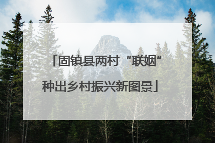 固镇县两村“联姻”种出乡村振兴新图景