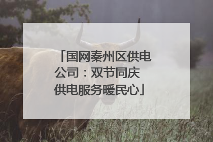 国网秦州区供电公司：双节同庆 供电服务暖民心