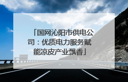 国网沁阳市供电公司：优质电力服务赋能凉皮产业飘香