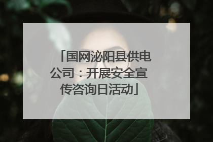国网泌阳县供电公司：开展安全宣传咨询日活动