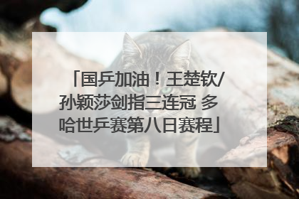 国乒加油！王楚钦/孙颖莎剑指三连冠 多哈世乒赛第八日赛程