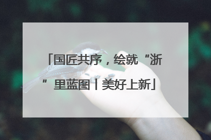 国匠共序，绘就“浙”里蓝图丨美好上新