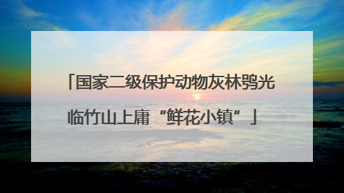国家二级保护动物灰林鸮光临竹山上庸“鲜花小镇”