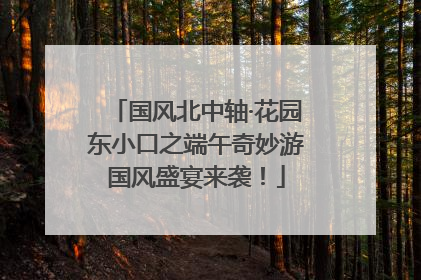 国风北中轴·花园东小口之端午奇妙游国风盛宴来袭！