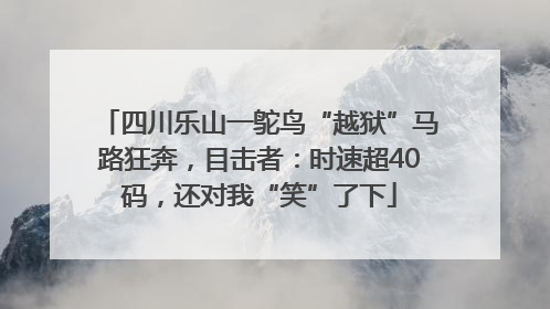四川乐山一鸵鸟“越狱”马路狂奔，目击者：时速超40码，还对我“笑”了下