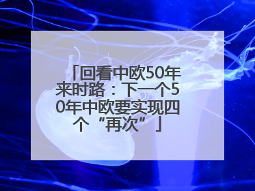 回看中欧50年来时路：下一个50年中欧要实现四个“再次”