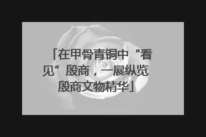 在甲骨青铜中“看见”殷商，一展纵览殷商文物精华