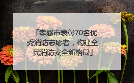 孝感市表彰70名优秀消防志愿者，构建全民消防安全新格局