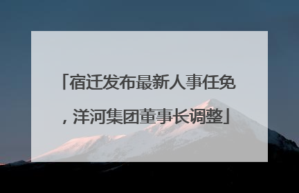 宿迁发布最新人事任免，洋河集团董事长调整