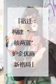 宿迁：构建“一核两翼”护企优商新格局