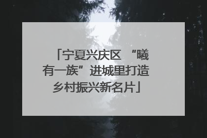 宁夏兴庆区 “曦有一族”进城里打造乡村振兴新名片
