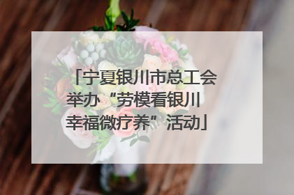 宁夏银川市总工会举办“劳模看银川 幸福微疗养”活动