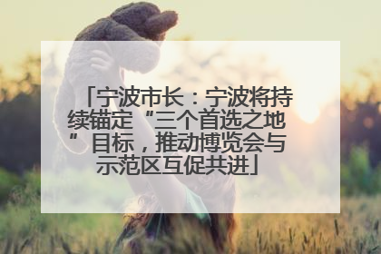 宁波市长：宁波将持续锚定“三个首选之地”目标，推动博览会与示范区互促共进