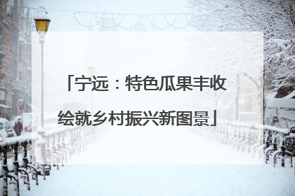 宁远：特色瓜果丰收绘就乡村振兴新图景
