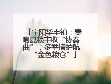 宁阳华丰镇：奏响夏粮丰收“协奏曲”，多举措护航“金色粮仓”