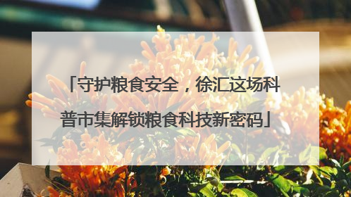 守护粮食安全，徐汇这场科普市集解锁粮食科技新密码
