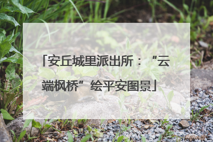 安丘城里派出所：“云端枫桥”绘平安图景