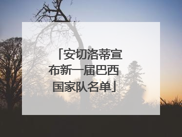 安切洛蒂宣布新一届巴西国家队名单